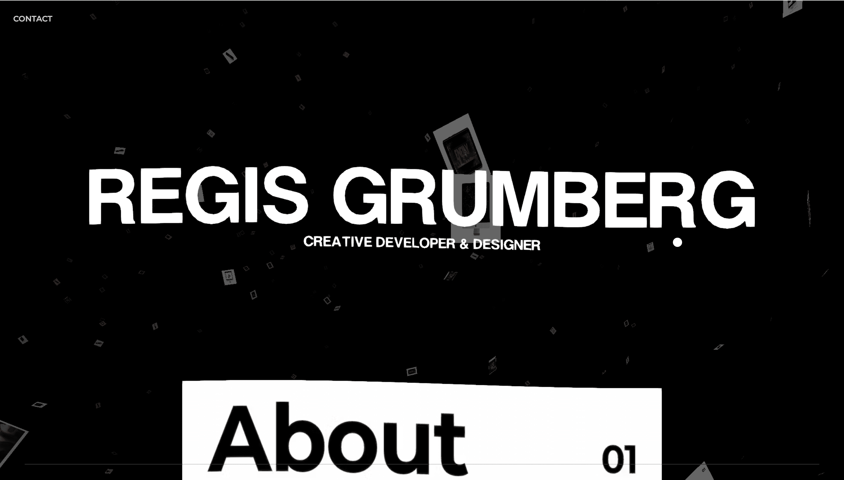 Regis Grumberg — Developer, Designer website design