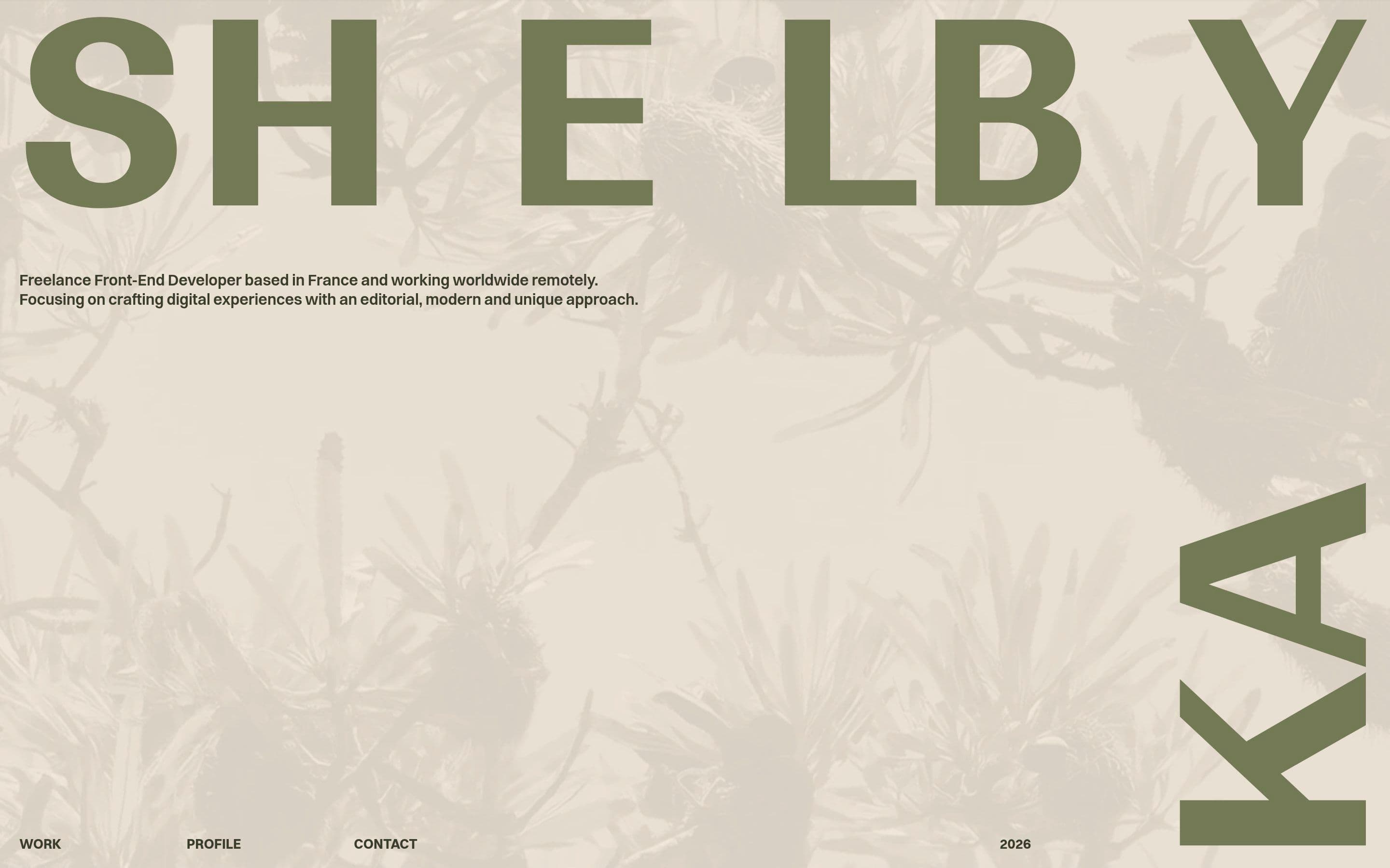 Shelby Kay — Developer, Portfolio website design