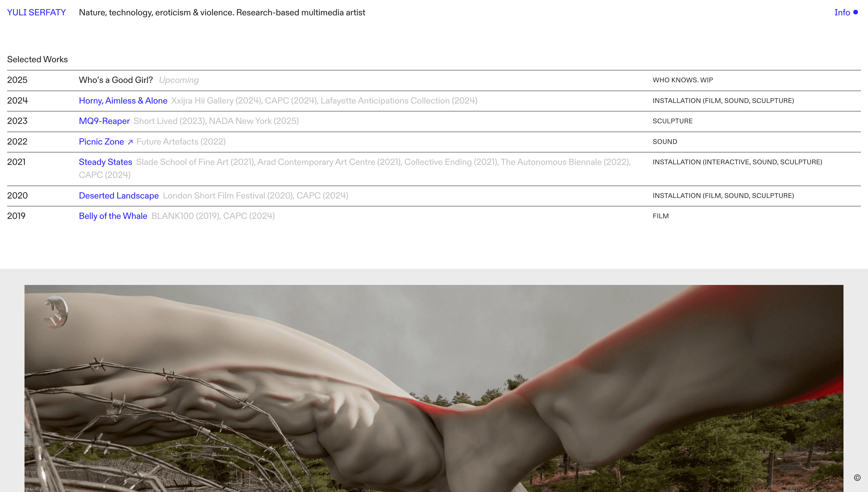 Yuli Serfaty — Designer, Portfolio website design