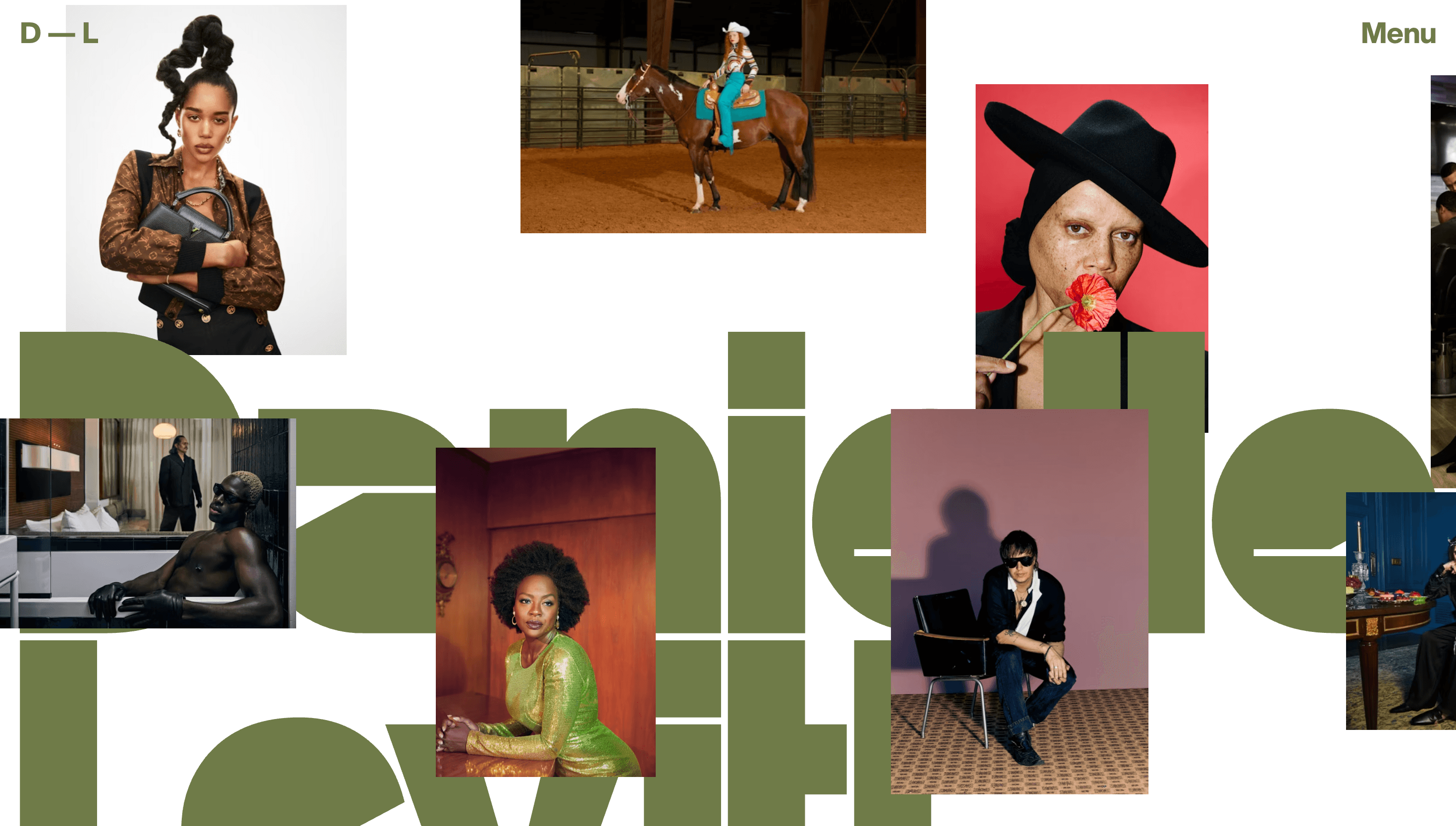 Danielle Levitt — Art, Storytelling website design