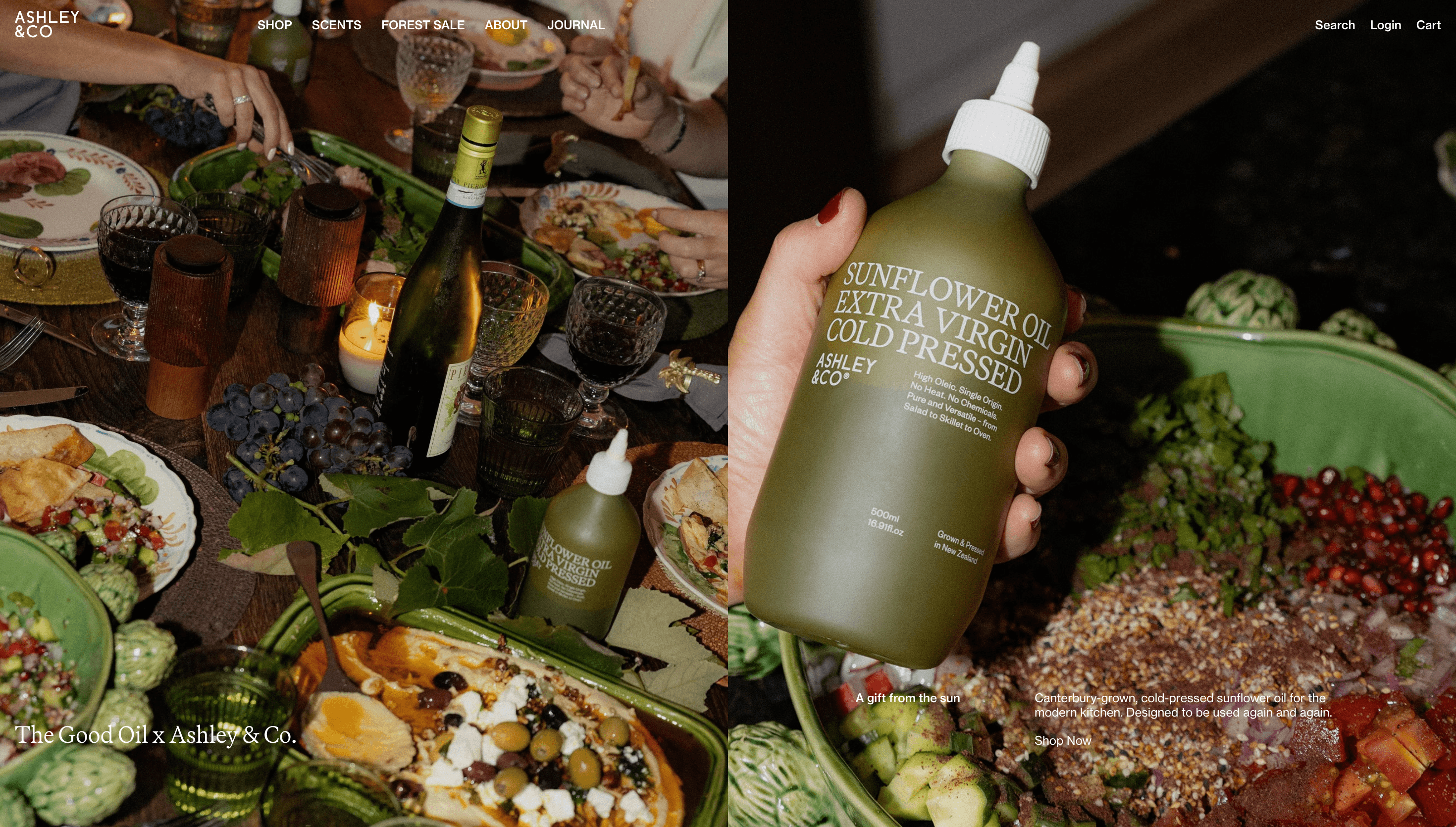 Ashley & Co. — Agency, Studio website design