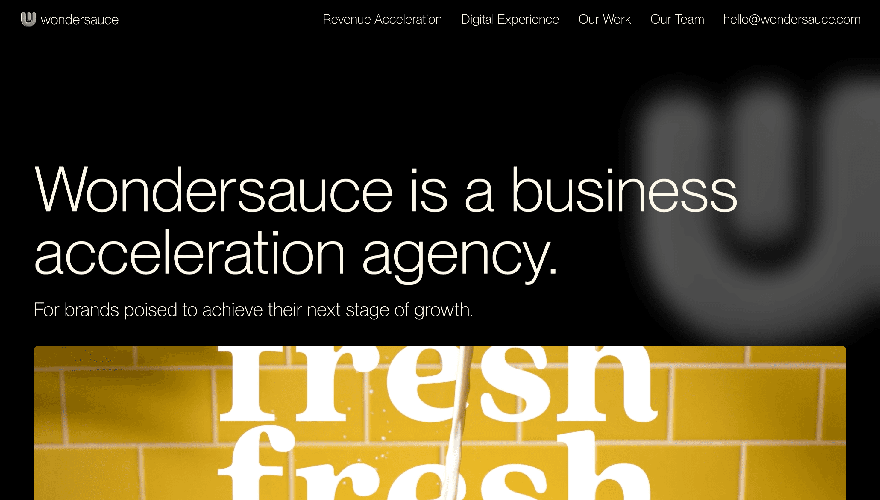 Wondersauce — Agency, Startup website design