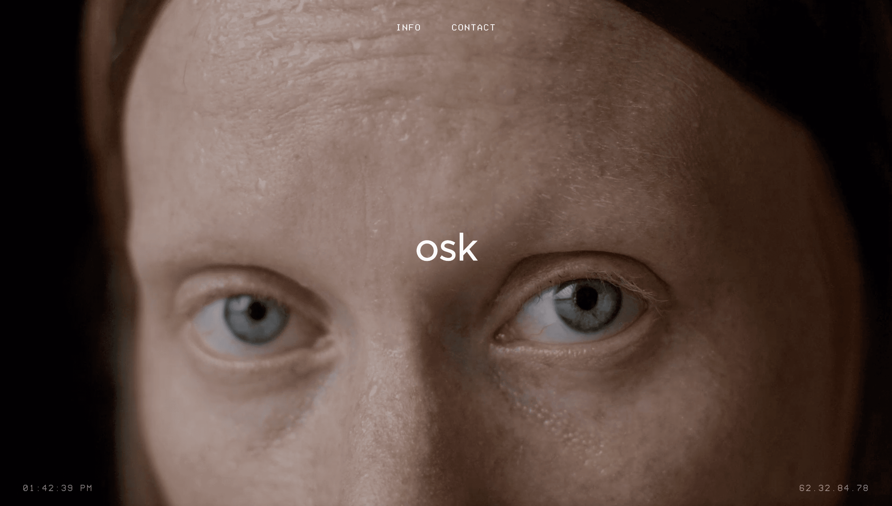 Osk — Art, Tech website design