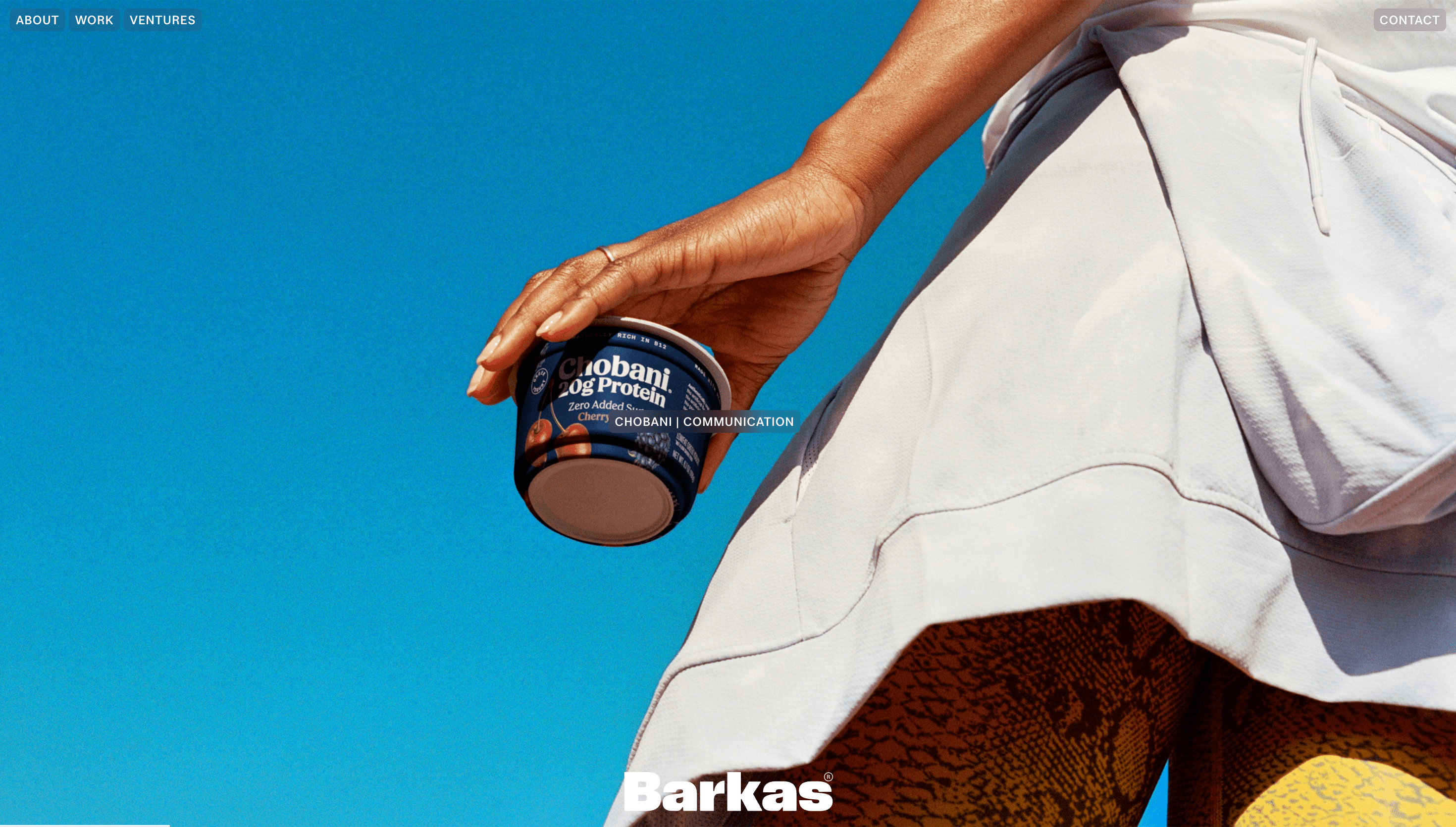 Barkas — Agency, Studio website design