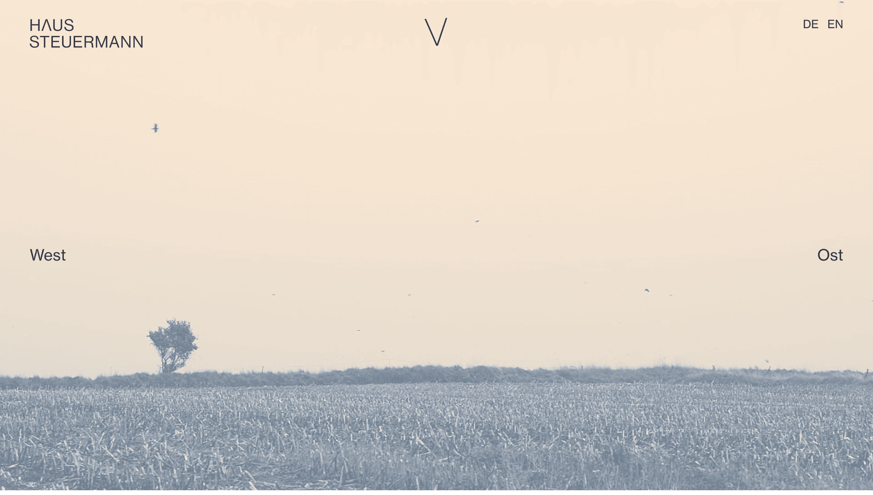 Haus Steuermann — Real Estate, Travel website design