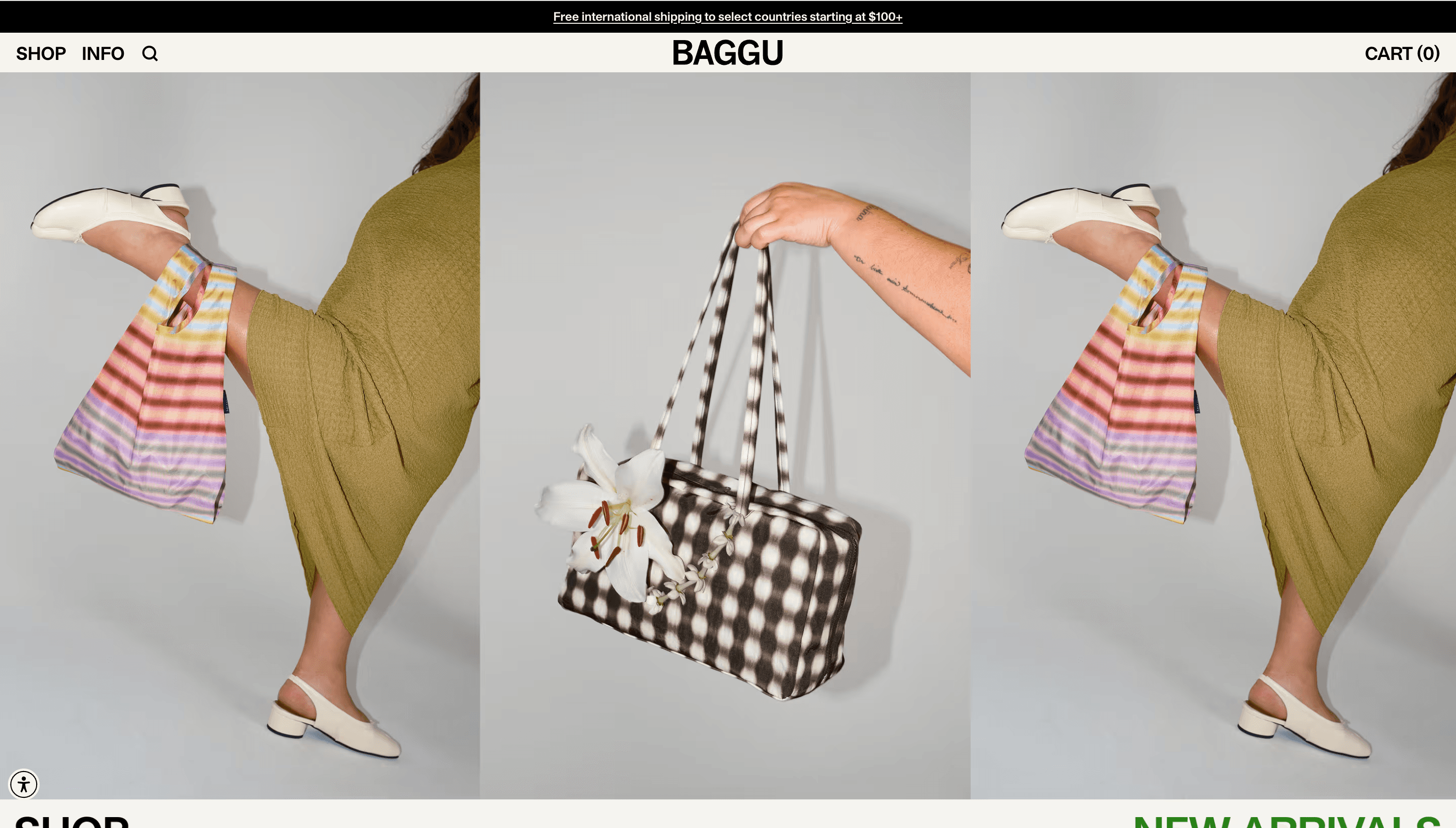 Baggu — Fashion, E-commerce website design