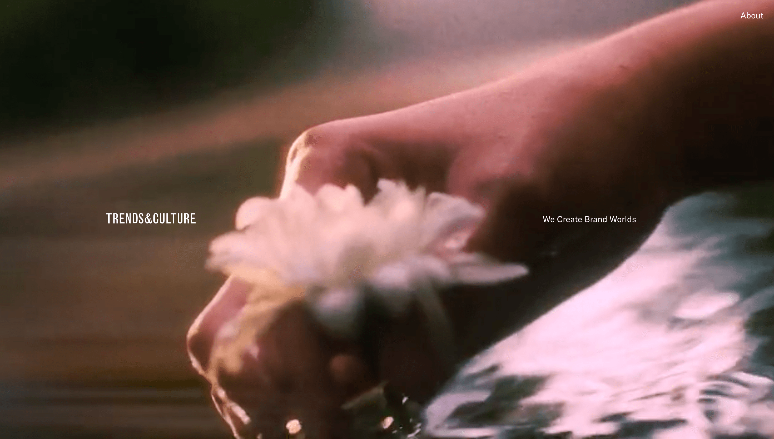 Trends&Culture — Culture, Tech website design