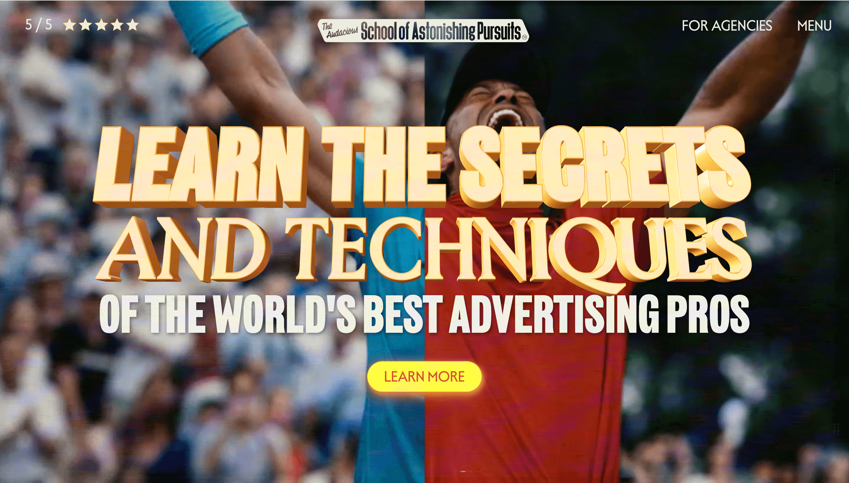 The Audacious School of Astonishing Pursuits — Education, Landing Page website design